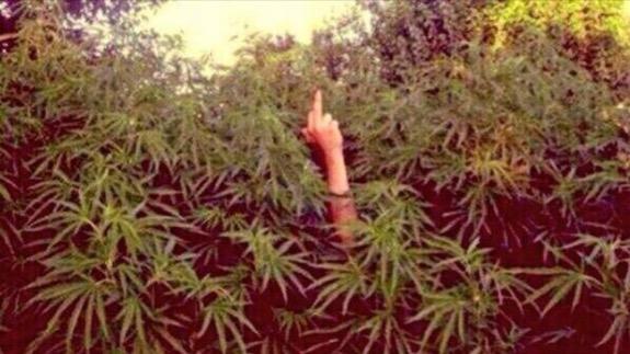 stillblazingtho's tweet image. When people tell me smoking weed is bad