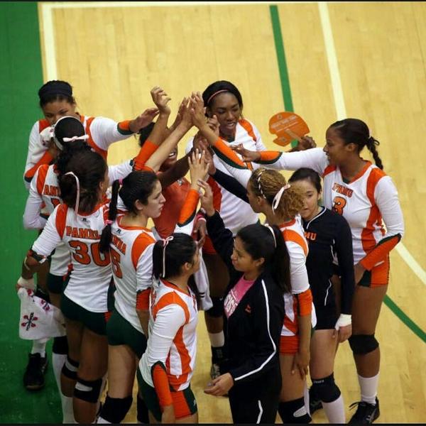 FAMU Volleyball tweet media