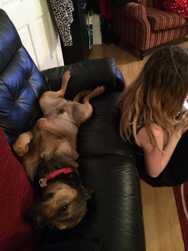 FrankFeisty's tweet photo. Best seat in the house #sisonthefloor😃😃 http://t.co/5MDZbaua3c