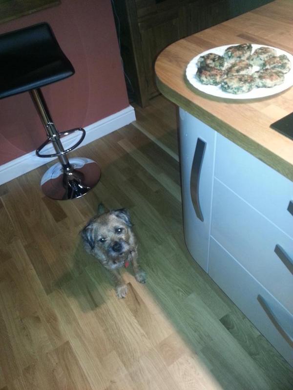 trehailes's tweet photo. The boy wants #homemade #fishcakes tonight #bt #chip http://t.co/EQClHe4XSX