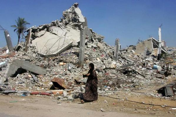 মুহাম্মদ উসমান 🇵🇸 🇵🇰 tweet media