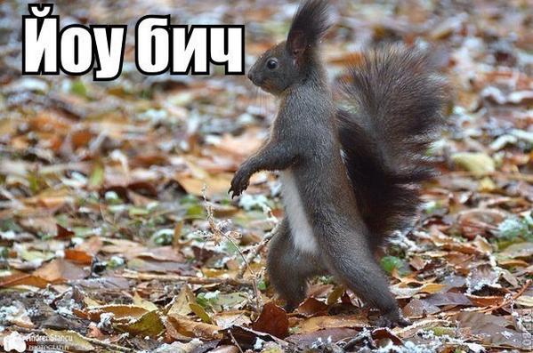 94_nika5's tweet photo. Это я,когда всегда http://t.co/aAinNhMKyg