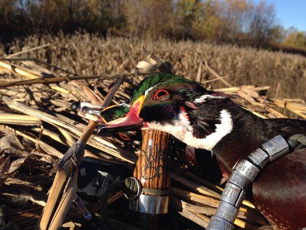 TNP_Productions's tweet photo. @Fearlessmilitia The Wood Splitter did some work today! http://t.co/NlqwWD40Aa