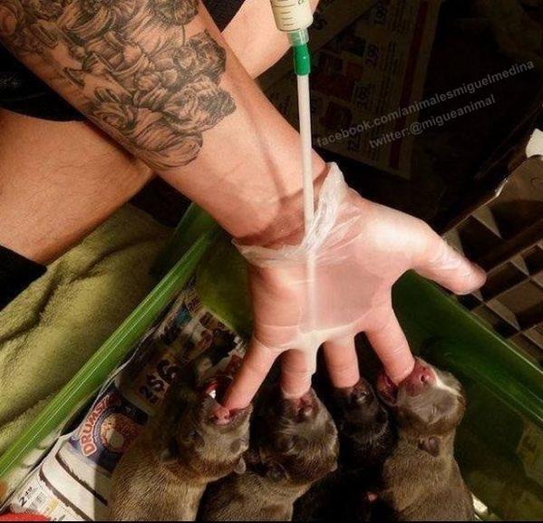 migueanimal's tweet image. Una idea practica y tierna a la vez. @nikitaneumann @samantafarjat @MarceBanios @lizytagliani @MarcelaFeudale #rt