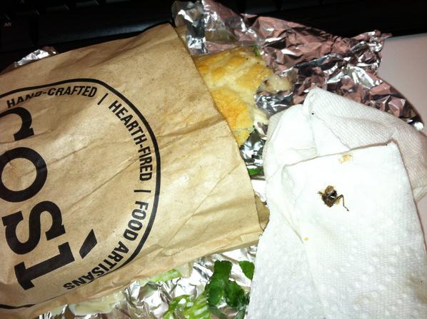 afranzese5's tweet image. Found a bug in my #unionsquare @get_cosi sandwich. IDK where the other leg is but I might get #sick #gradeF #foodfail