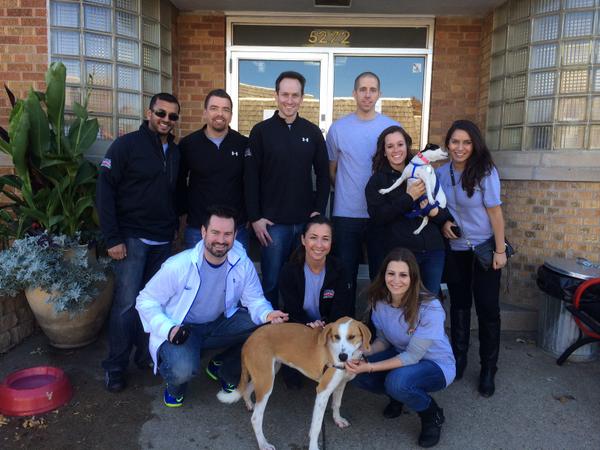 Cubs's tweet photo. #Cubs associates walked more than 55 dogs at Chicago Canine Rescue's animal shelter this afternoon. #100Gifts http://t.co/xKHJKS7OvR