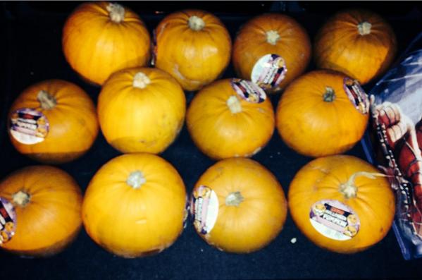 CF_Kids_AW's tweet photo. A boot full of pumpkins ready for Thursday's CrossFit Kids class @AcCrossFit #Halloween #CrossFitKids http://t.co/0F6sSD2nob