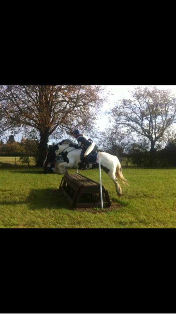 Charlene (@lilchar20) on Twitter photo 