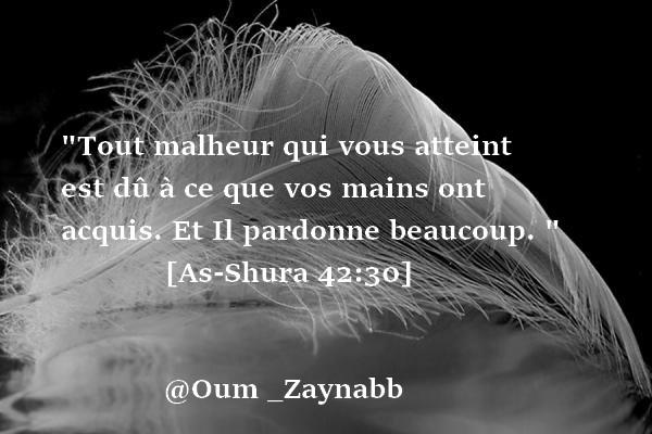 Montage d'Oum Zaynab n°37 B1EWrqXCQAAMVrK