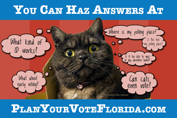 PlanYourVoteFL's tweet photo. Like #cats? Like #voting? We're here to help. #VoteFlorida #CommitToVote http://t.co/ViUXGYXbZ2 http://t.co/tk0bqfGzuU