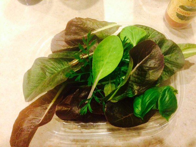 Salad fixings from my garden http://t.co/L3Jhhm05Lk