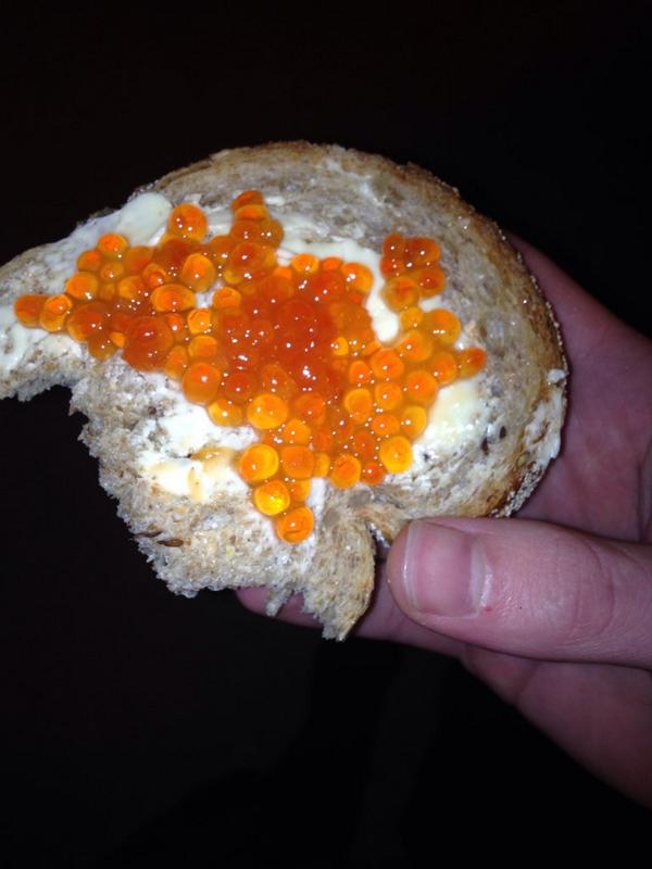 moos54's tweet photo. Finding Nemo eten http://t.co/Zf7VkZ5Xrc