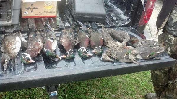 RWATERFOWL's tweet photo. Jarod of LOCKED-UP WATERFOWL limits out on some wood ducks an Green Wing Teals today!!!! http://t.co/tqdFX5RjFQ