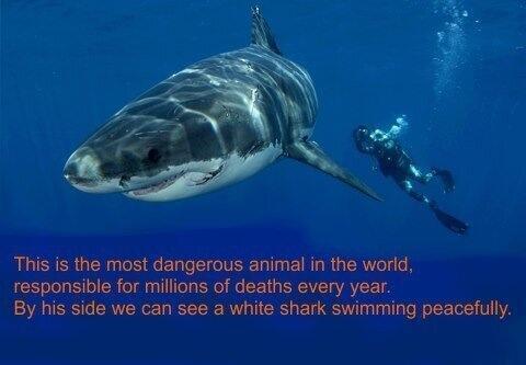 rybotics's tweet photo. Perspective http://t.co/Yh279sywyp