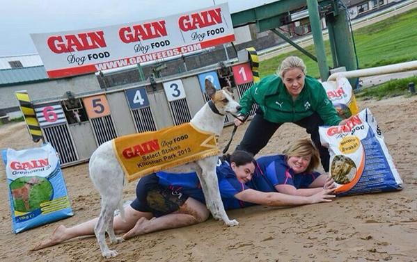 EmilyScarratt's tweet photo. @niamhbriggs15 Just catching up with @cantwelll and stumbles across this beauty! #woof #damagent http://t.co/vd4kekMGoi