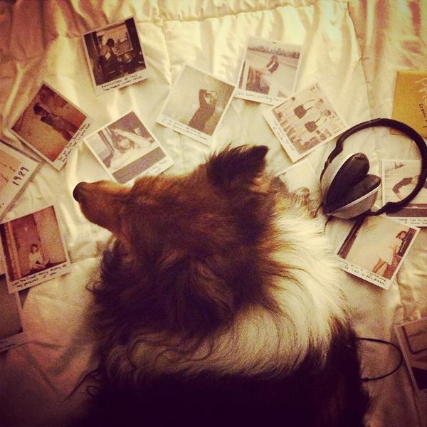 BelmarksGameOn's tweet photo. @taylorswift13 New lyrics to track 6: "And the puppies gonna play play play play play". We <3 #tswift1989 http://t.co/ubVtUM2reN