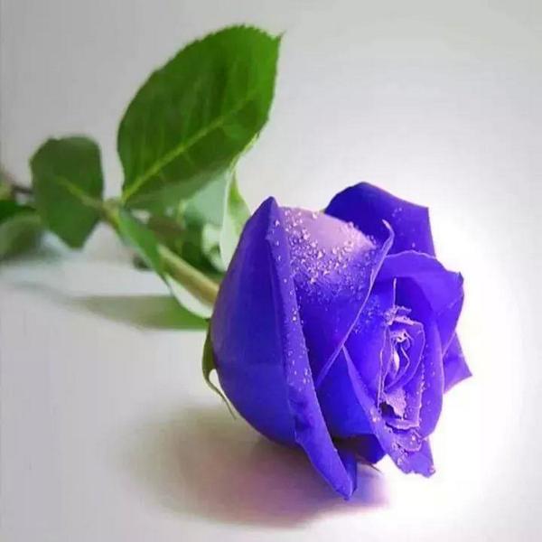 e3212993's tweet photo. Hola http://t.co/XIzseolmzL