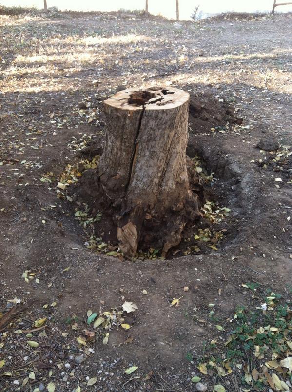 sbrwood's tweet image. #imstumped