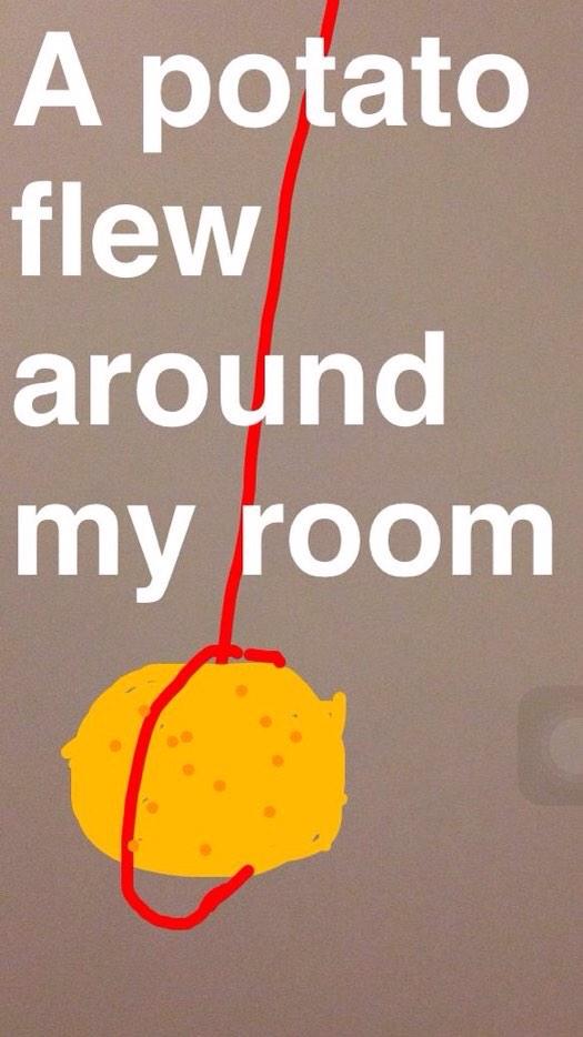 Lisa on Twitter: "A potato flew around my room http://t.co/366p6cr2hk"