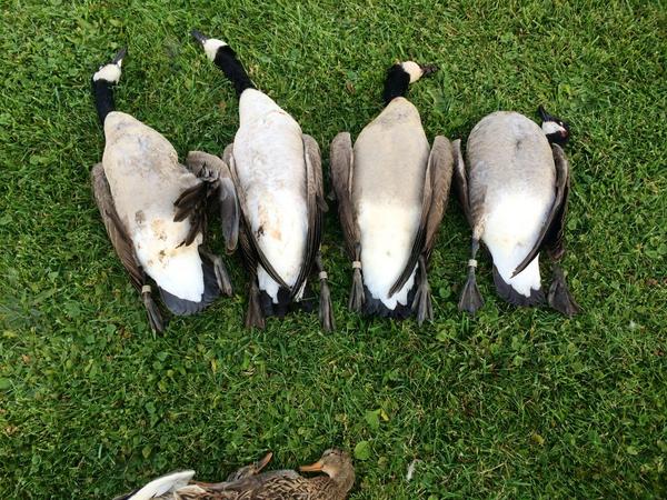 FallinFowl's tweet image. #jewelry