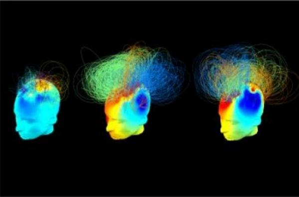Scientific American tweet media