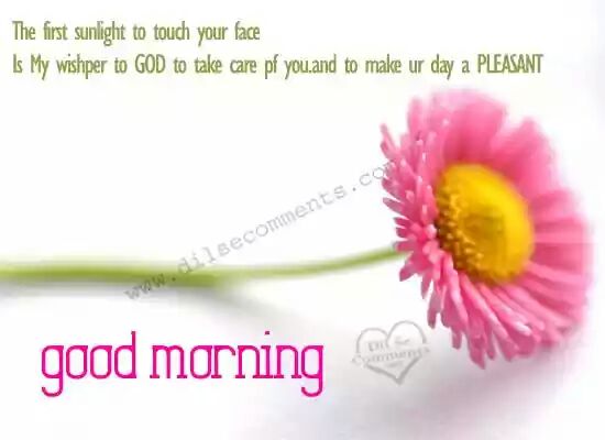kmkvinth's tweet image. ---
--good morning