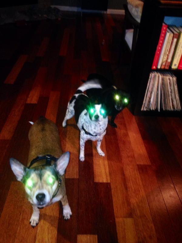 Carla Schricker tweet media