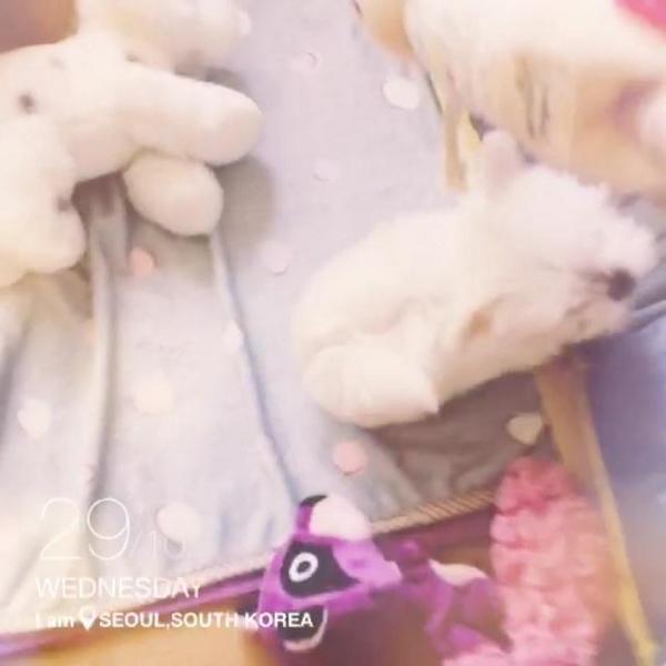 ChanHomeTH's tweet photo. 141029 Tao's meipai update (2) กินเสร็จแล้วก็มาเล่น 😤 #pets
http://t.co/c17QEIkIc3
Cr.Exofacts_ http://t.co/jevYrjHaPz