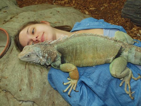 Inst4HumAnimal's tweet image. Animal-Assisted Social Work in practice #humananimalconnection