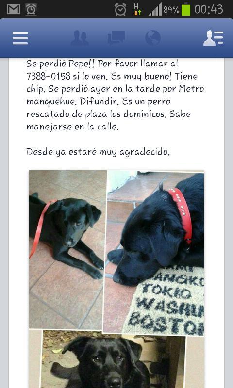 🌟Vane🌟 tweet media