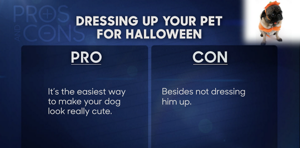 FallonTonight's tweet photo. Up now: Jimmy weighs the #ProsAndCons of dressing up your pet for Halloween! #FallonTonight http://t.co/gPsCfQnwNq