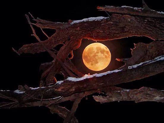 Lizzieetcheverr's tweet image. Que pasen bonita noche! A descansar! 😘✨✨✨👼🙏💤💤💤💤💤 #TwitteOff