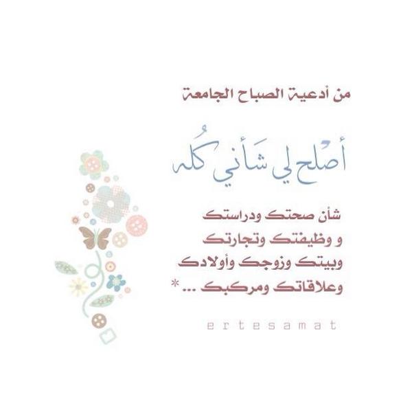 الطريق الى الجنة. tweet media