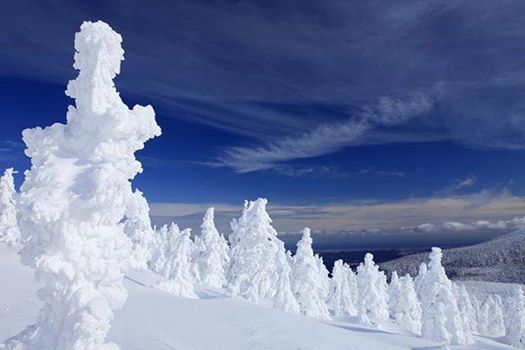#LetsGoToJapan Zao Onsen adalah salah satu ski &amp; snowboarding resor terkenal &amp; tradisional di Jepang