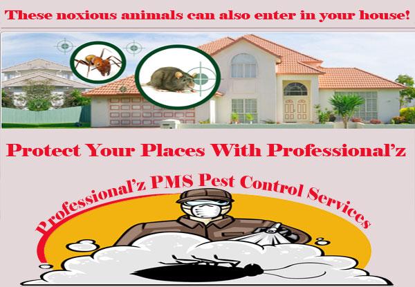 ProfessionalPMS's tweet image. Protect Your Places With Professional'Z PMS Pest Control Services!!!