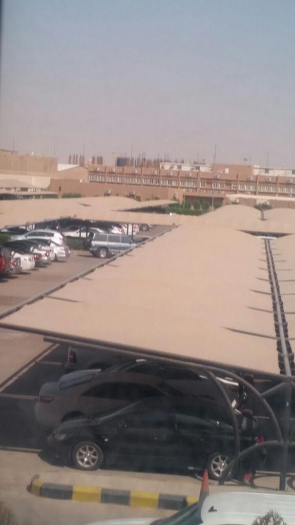 AssRidc's tweet image. ---
---