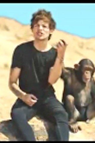 aechi789's tweet photo. This monkey is too lucky! Urghh... WHY ?!?!?!?! @NiallOfficial  @Louis_Tomlinson @onedirection http://t.co/1hT64i3MKt