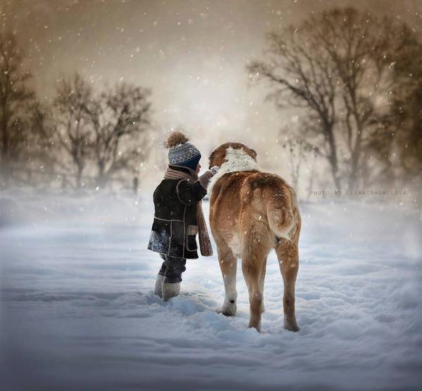 Gabriele Corno tweet media