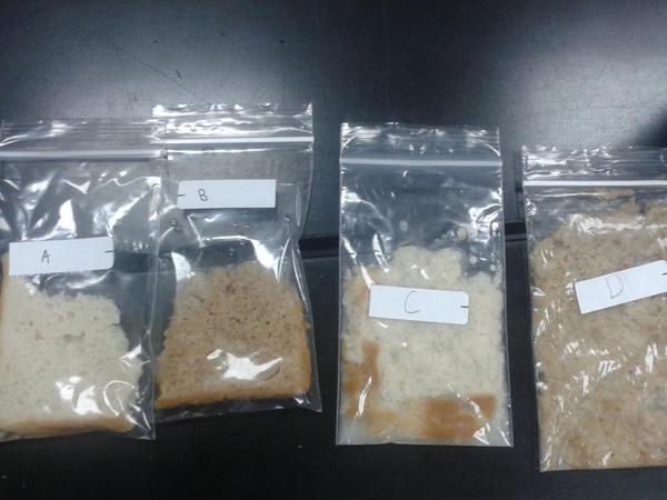 Rakiah_Swenson's tweet photo. This is and experiment we did today on chemical and mechanical digestive. @AISJ_Science7 http://t.co/LXiV96XDSC