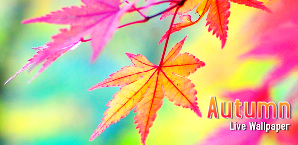 Android3DLWP's tweet photo. Brand new #autumn #livewallpaper! Beautiful #fallingleaves everywhere! 

https://t.co/42YtY72VHN http://t.co/ItXax7Ewaz