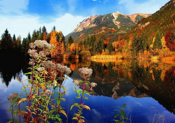 tess_222_'s tweet image. 