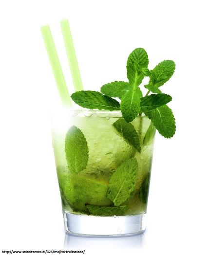 CocktailLounge_'s tweet image. Bekijk deze video en maak thuis de perfecte Mojito! --&amp;gt; bit.ly/1wC8kpj &amp;lt;-- Hoe is die bij jou gelukt? Tips?