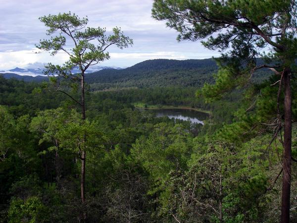 GoAmazingDotNet's tweet image. 