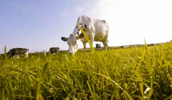 Roddas_Cream's tweet photo. Would you like to hear our family story...?https://t.co/wngTuiOsvp #Cornwall #ClottedCream #family #cornwallhour http://t.co/Ds1zzAQHbC