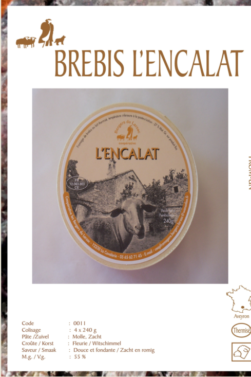 Inkoopplatform's tweet photo. Today's easyCheese 29-10 Brebis L'Encalat Petit Model
#kaas #korteketen #directeimport http://t.co/mc2gmJHJX6