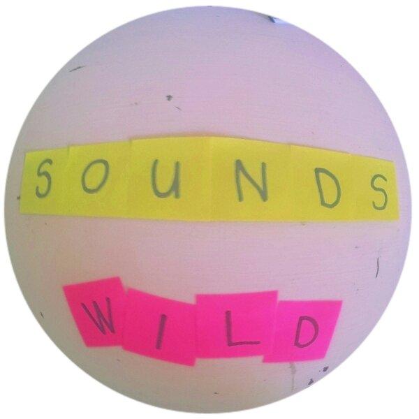 danielle de abreu tweet media