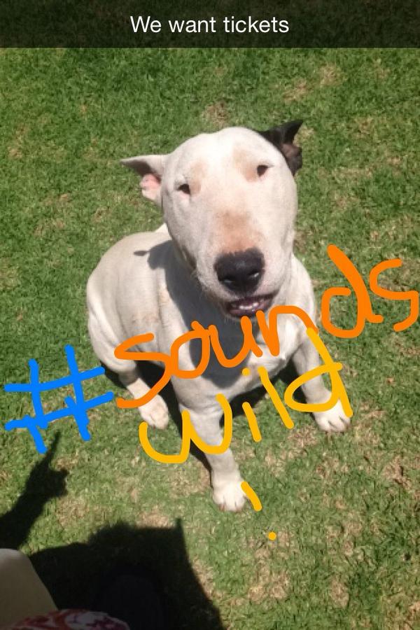 darragh theresa tweet media