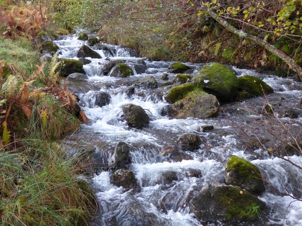 helvellyn's tweet photo. Beck in #glenamara flowing freely http://t.co/ZsSr3rEpeA
