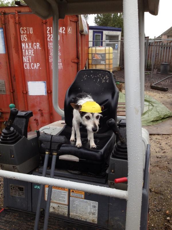 MarkWarren75's tweet image. On bunny construction we take safety very seriously !!!!!!!!! Hard hats are always on. @DaveeeLangford  @SamWarren72