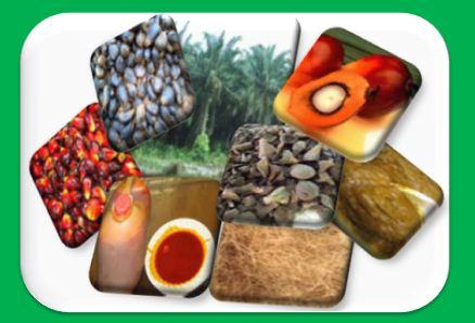 TotalNig's tweet photo. We purchase, process and stockpile palm products for Green Energy  Products,
food Manufacturers and Cosmetic Industry http://t.co/9pRhR0BARE